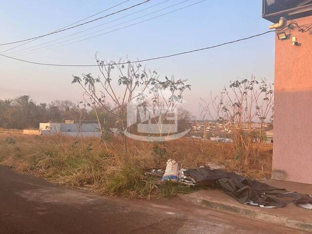 Área para Venda em Itumbiara - 4