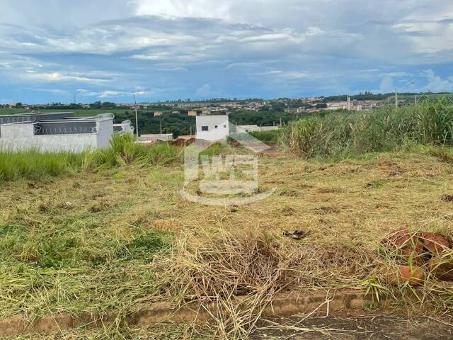 #10228 - Terreno para Venda em Itumbiara - GO - 1