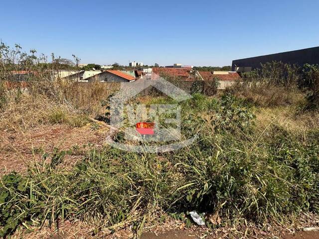 #COD10290 - Terreno para Venda em Itumbiara - GO - 1