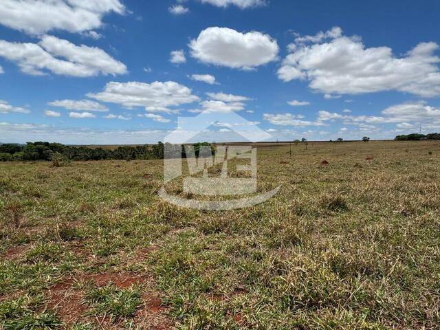 #COD10363 - Terreno para Venda em Itumbiara - GO - 1