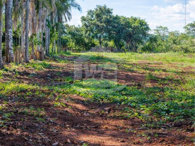 #COD10430 - Terreno para Venda em Itumbiara - GO - 1