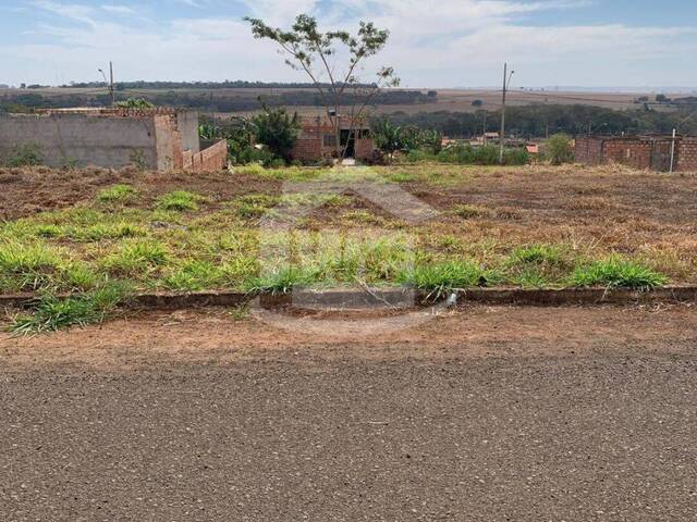 Venda em Madri - Araporã