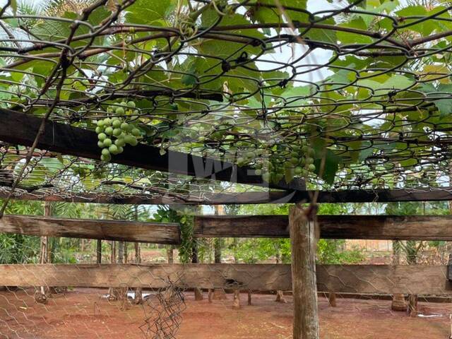 #10514 - Chácara para Venda em Itumbiara - GO - 3