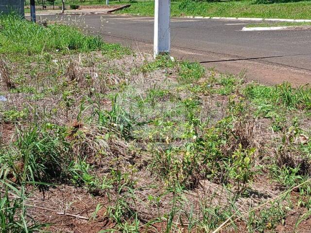 #10524 - Área para Venda em Araporã - MG - 2