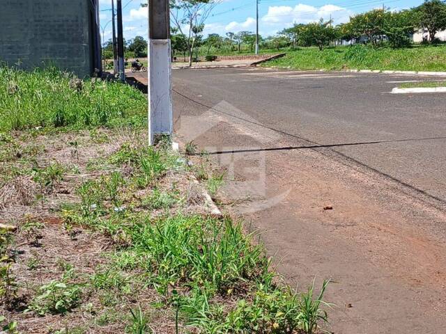 Venda em Madri - Araporã