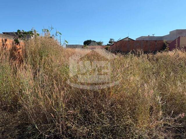Área para Venda em Itumbiara - 2