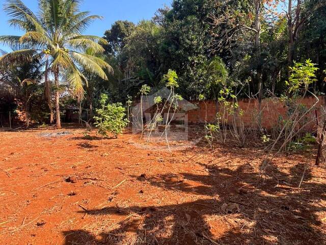 #10748 - Casa para Venda em Itumbiara - GO - 3