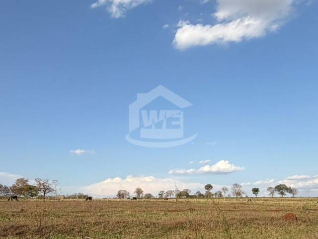 #10784 - Chácara para Venda em Cachoeira de Minas - MG - 1