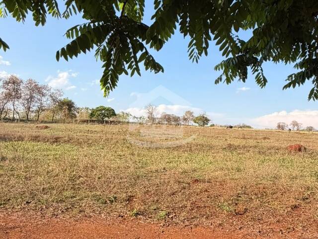 #10784 - Chácara para Venda em Cachoeira de Minas - MG - 3