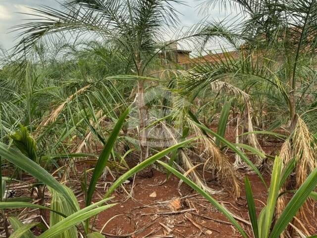 Venda em Buriti 3 - Itumbiara