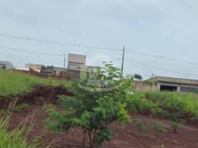 #10832 - Área para Venda em Itumbiara - GO - 1