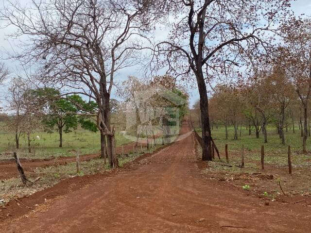 #10852 - Chácara para Venda em Bom Jesus de Goiás - GO - 2